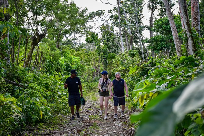 Let's do hiking in Punta Cana - How to prepare for a comfortable hike
