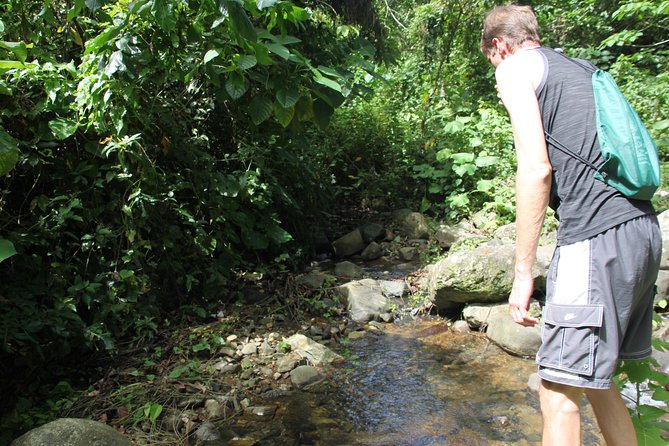 Let's do hiking in Punta Cana - Looking closely at the plants and animals