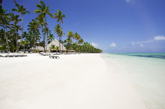 Live Aqua Beach Resort Punta Cana - Round Trip Shuttle - Punta Cana Airport - Who will appreciate this transfer most