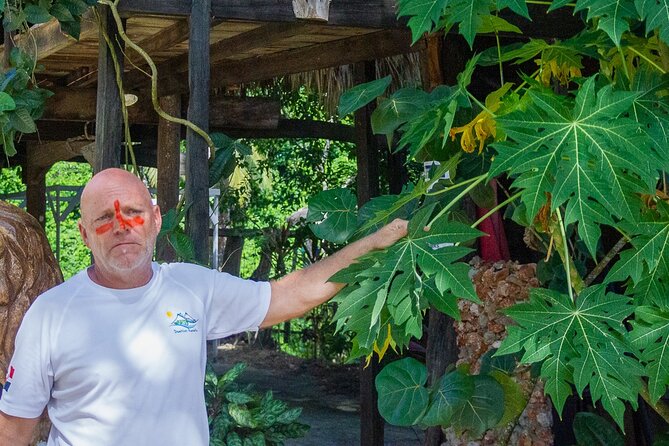 Local Excursion || Jungle Safari Excursion - Lunch in a restaurant built among trees