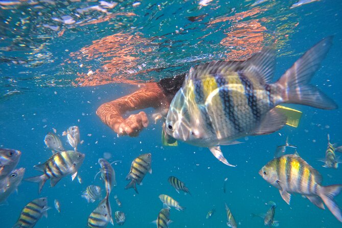 Local Excursion | Paradise Island Punto Rucia & snorkeling - The long road to Punta Rucia