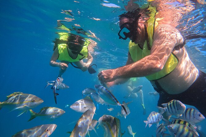 Local Excursion | Paradise Island Punto Rucia & snorkeling - Who will enjoy this excursion most?