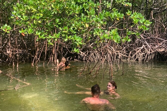 Local Excursion | Paradise Island Punto Rucia & snorkeling - Speeding through the mangroves