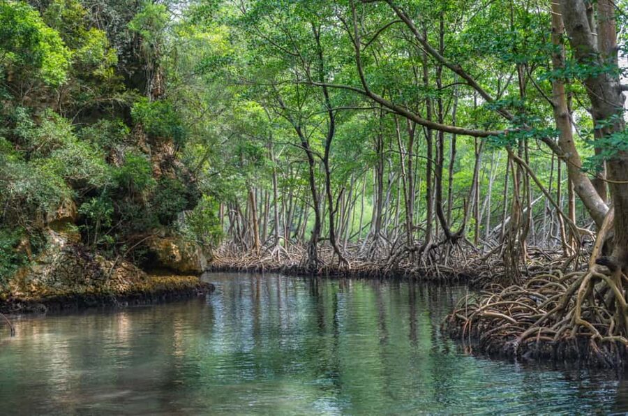 Los Haitises: Boat + Lunch at the beach & Natural pools - Group size, guides, and language