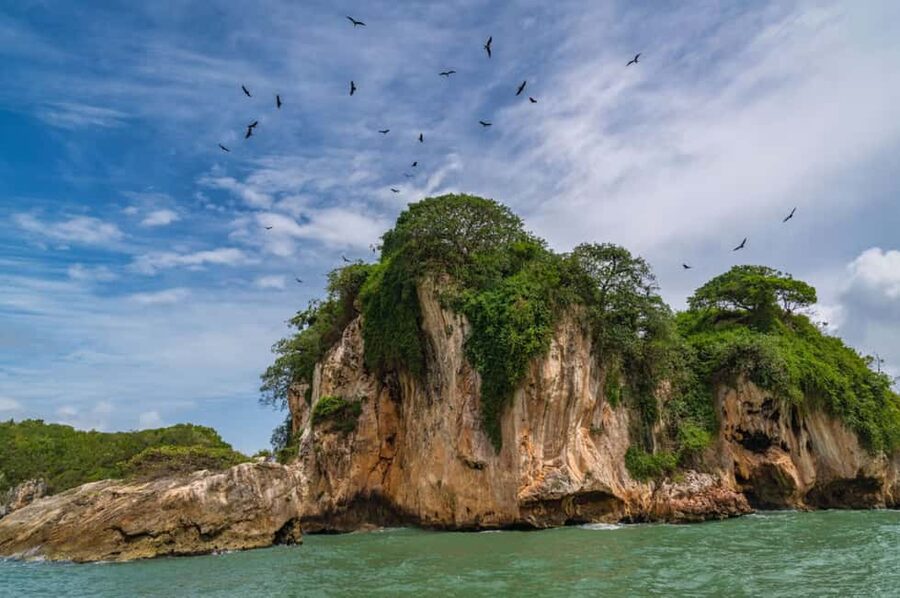 Los Haitises: Boat + Lunch at the beach & Natural pools - Who should book this trip?