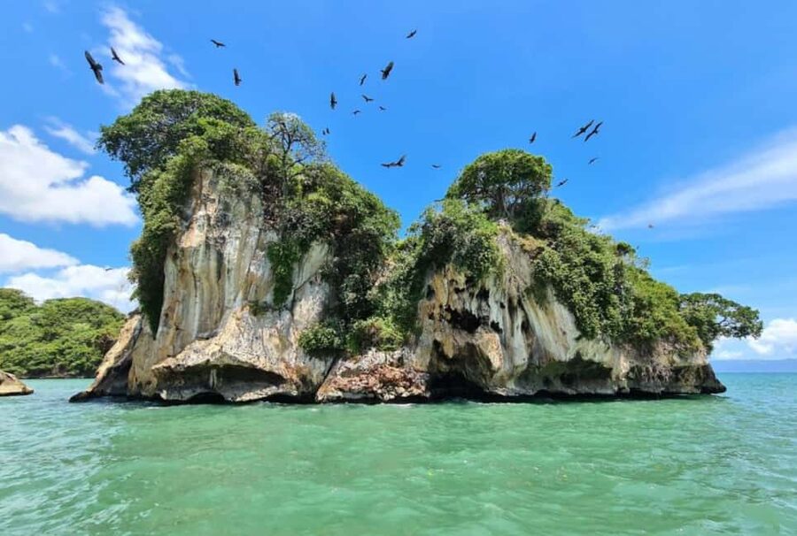 Los Haitises Boat Ride + Caño Hondo Natural Pools - What to bring and who should book