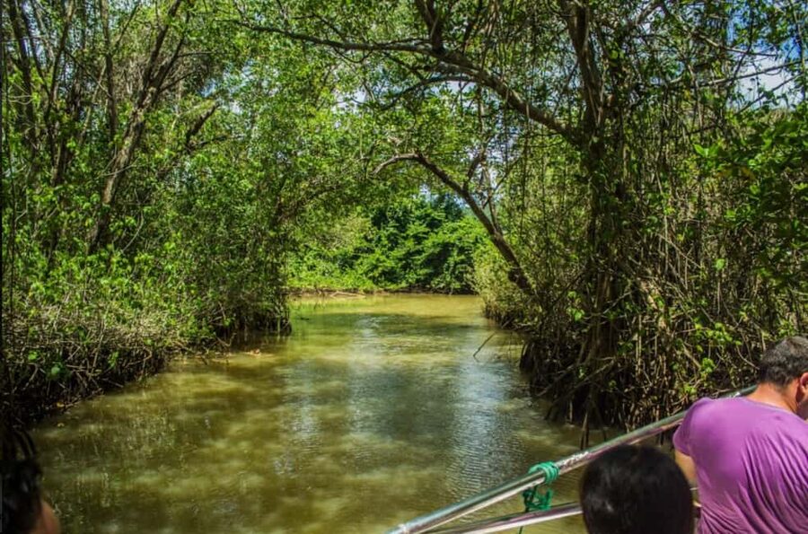 Los Haitises Boat Ride + Caño Hondo Natural Pools - Setting out from the Caño Hondo pier