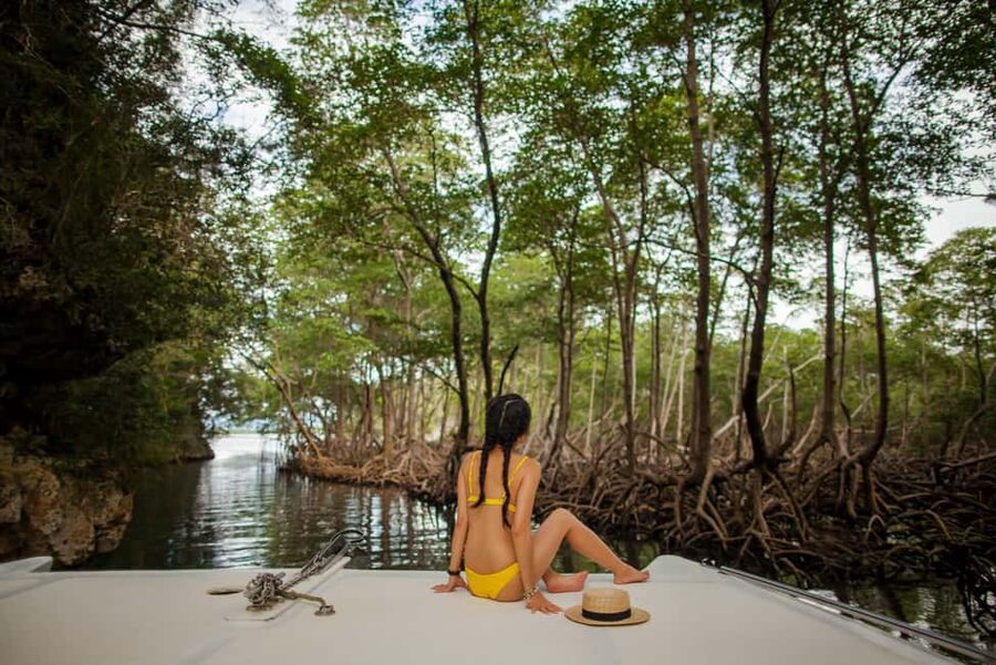Los Haitises: Caves, Mangroves, & Rainforest Hike/Boat Tour - Why Los Haitises feels different from a beach day