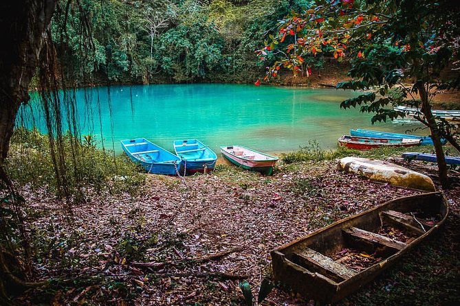 Los Haitises & Cayo Levantado (Lunch included, from Samana in Catamaran or Boat) - A boat day built around two very different stops
