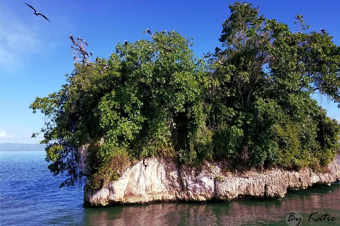 Los Haitises & Cayo Levantado (Lunch included, from Samana in Catamaran or Boat) - Crossing Samaná Bay to Los Haitises