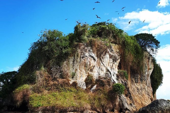 Los Haitises & Cayo Levantado (Lunch included, from Samana in Catamaran or Boat) - How much value do you get for $68.93?