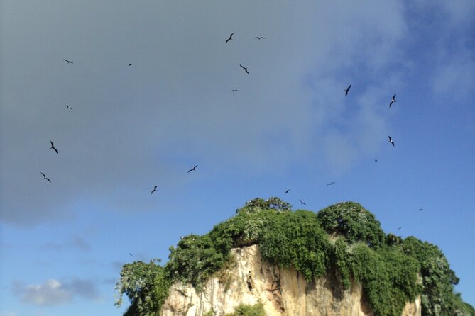 Los Haitises National Park and Cayo Levantado Island Day Trip from Samana - Cayo Levantado and the long beach afternoon