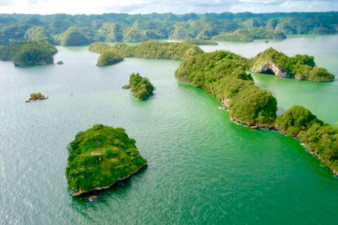 Los Haitises National Park and Cayo Levantado Island Day Trip from Samana - What the $99.99 price covers