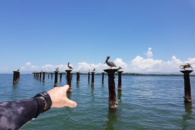 LOS HAITISES National Park - Punta cana - Wildlife Watching Without Guarantees