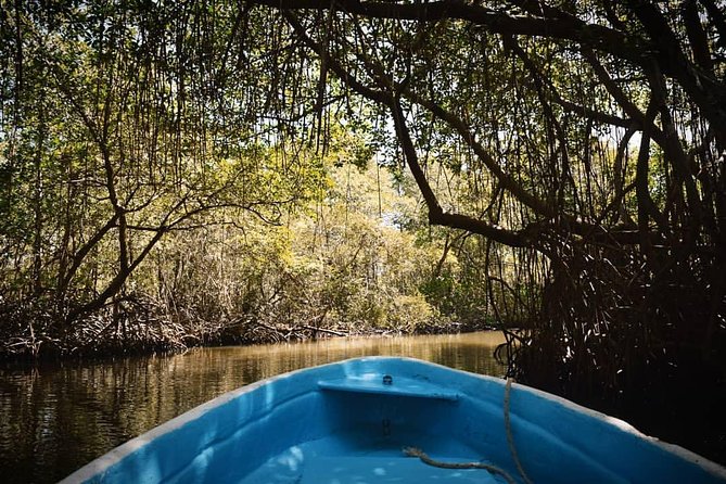 Los Haitises National Park Tour from Las Terrenas or Samana (Half Day Trip) - Lunch after the park visit