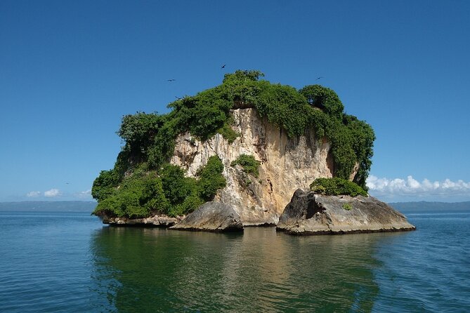 Los Haitises Park & Cayo Levantado: Samaná unforgettable Journey - Los Haitises: check exactly what is included
