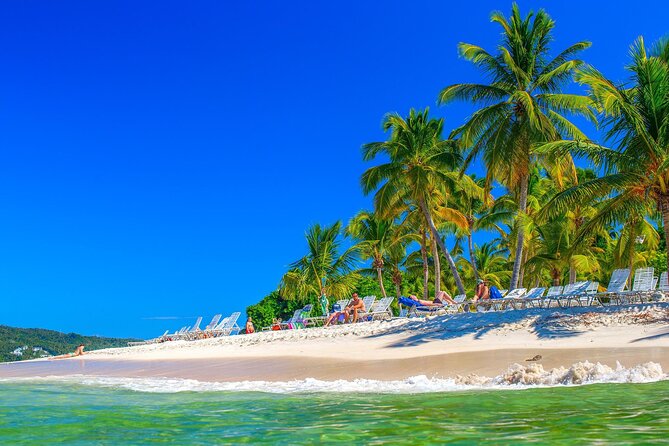 Los Haitises Park & Cayo Levantado: Samaná unforgettable Journey - Private transportation and the role of the driver