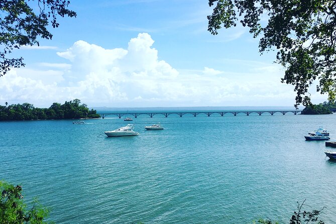 Los Haitises Park & Cayo Levantado: Samaná unforgettable Journey - Is $178.95 a fair price?