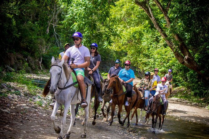 Mega Extreme Adventure: Horseback Riding, Ziplining and more - Lunch adds real value to the $135 price
