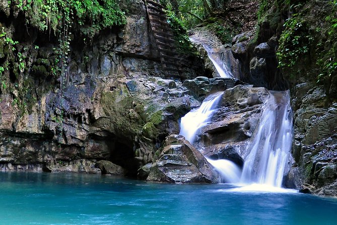Mega Extreme Adventure: Horseback Riding, Ziplining and more - Ziplining brings a different kind of forest view