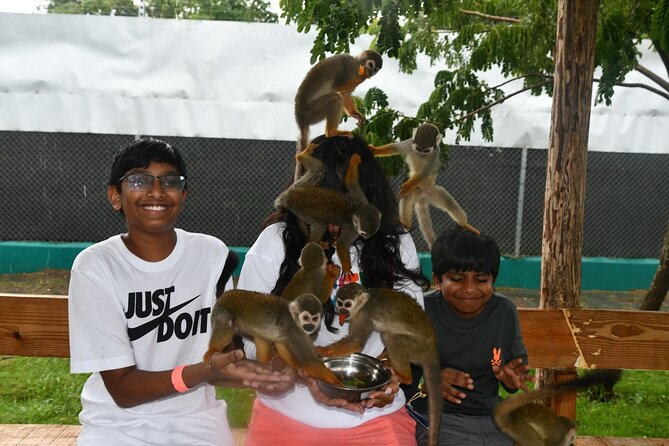 Monkey Encounter and Zip Line Tour from Amber Cove and Taino Bay - Feeding squirrel monkeys in Puerto Plata