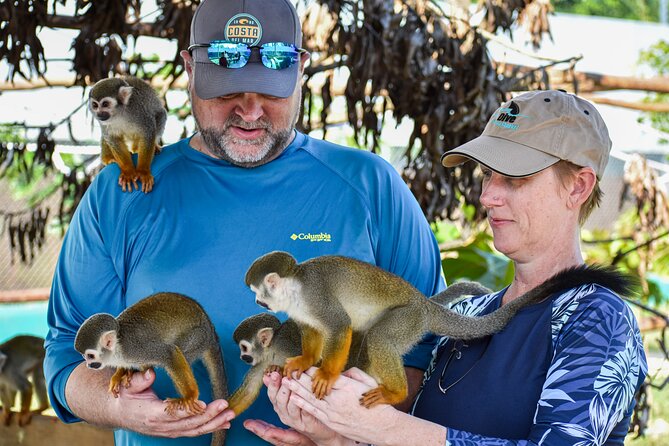 Monkey Encounter and Zip Line Tour from Amber Cove and Taino Bay - Who should book this shore excursion?