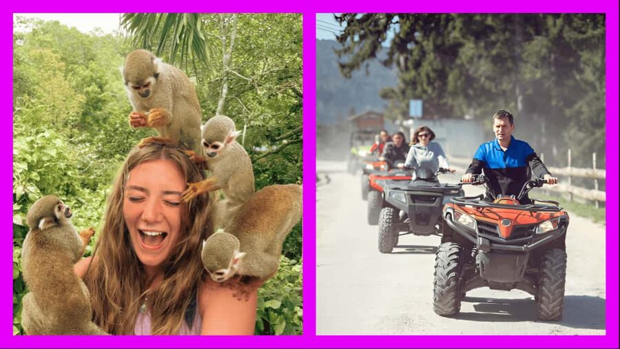 Monkey Encounter + ATV Riding Adventure – Puerto Plata - Key points at a glance