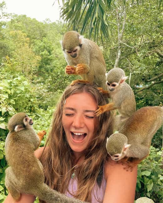 Monkey Encounter + ATV Riding Adventure – Puerto Plata - Coffee, cacao, fruit, and a taste of local life