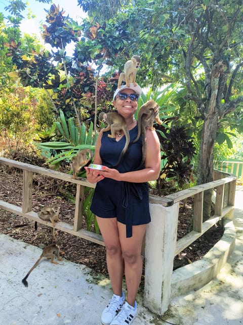 Monkey Encounter + ATV Riding Adventure – Puerto Plata - Riding an ATV through Puerto Plata’s countryside