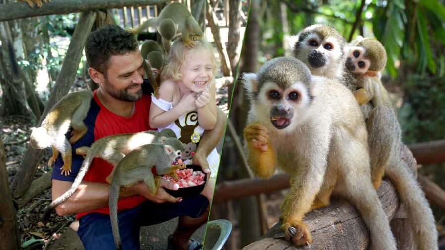 Monkey Encounter + ATV Riding Adventure – Puerto Plata - Practical preparation before you go