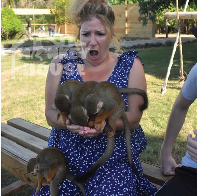 Monkey House VIP – An exclusive experience in Punta Cana - Key points at a glance