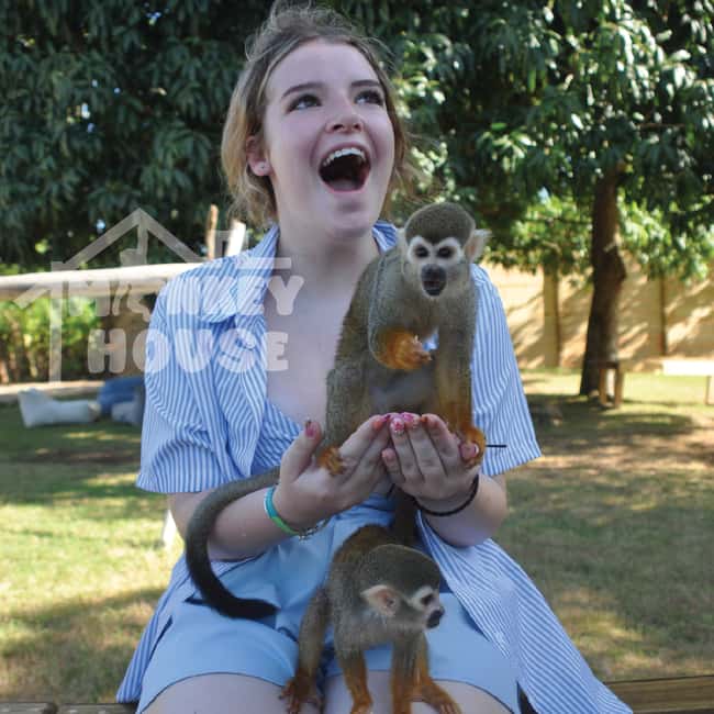 Monkey House VIP – An exclusive experience in Punta Cana - Four types of monkeys in one Punta Cana visit