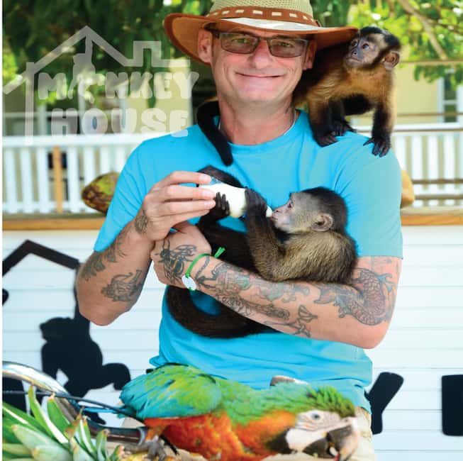 Monkey House VIP – An exclusive experience in Punta Cana - Why the private area changes the pace