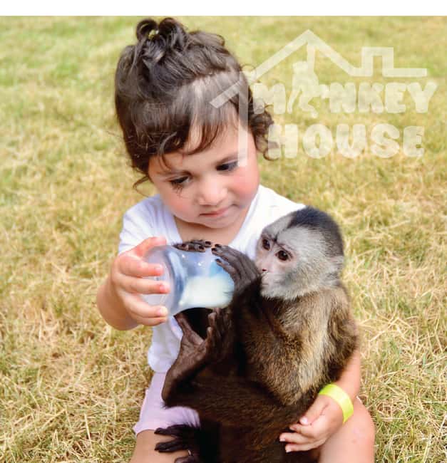 Monkey House VIP – An exclusive experience in Punta Cana - What happens during the 150-minute visit