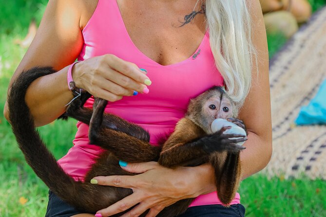 Monkey House VIP Experience with 4 species of monkeys, Punta Cana - Four monkey species in one Punta Cana visit