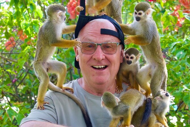 Monkey House VIP Experience with 4 species of monkeys, Punta Cana - What the 2.5-hour itinerary feels like