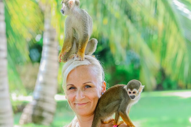 Monkey House VIP Experience with 4 species of monkeys, Punta Cana - Pickup needs extra attention