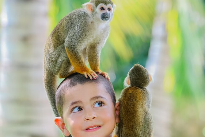 Monkey House VIP Experience with 4 species of monkeys, Punta Cana - Booking and cancellation details