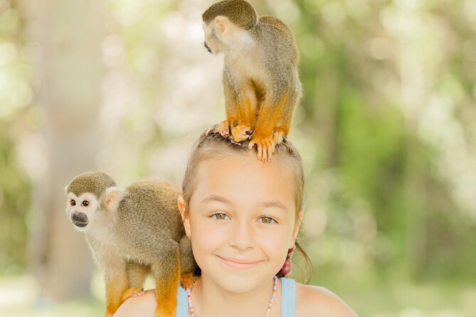 Monkey House VIP Experience with 4 species of monkeys, Punta Cana - Why the private format matters