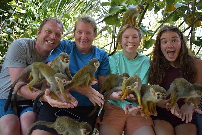 Monkey Mania Puerto Plata - The monkey encounter is the main event
