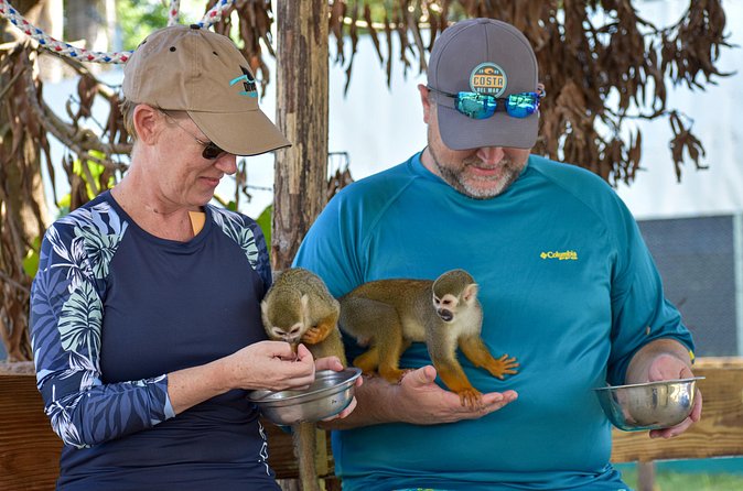 Monkey Mania Puerto Plata - Umbrella Street and Pink Street add color to the city visit