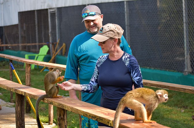 Monkey Mania Puerto Plata - Guides shape the experience