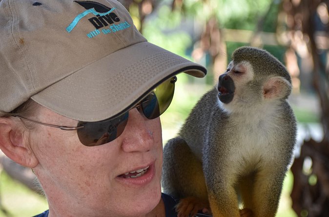 Monkey Mania Puerto Plata - Is $75 a fair price?