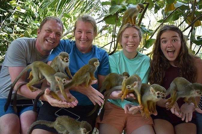 Monkey Mania Puerto Plata - Who will enjoy this outing most?