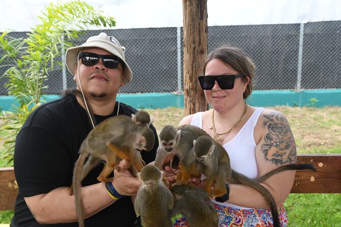 Monkey Tour Interaction and Damajagua waterfalls in Puerto Plata. - What the $89 price buys you