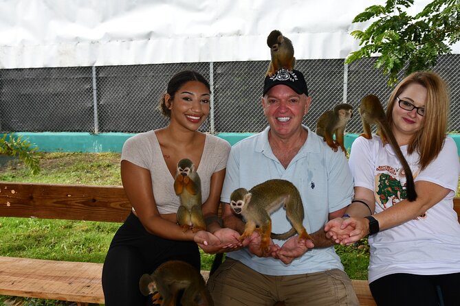 Monkey Tour Interaction and Damajagua waterfalls in Puerto Plata. - Safety, comfort, and choosing your challenge