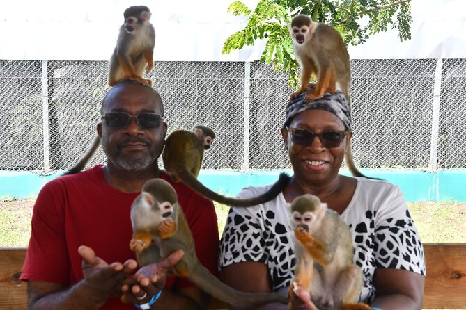 Monkey Tour Interaction and Damajagua waterfalls in Puerto Plata. - Helpful preparation for a smoother day