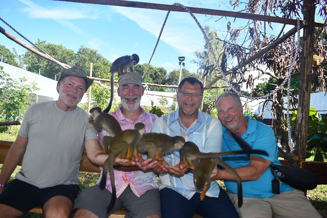 Monkey Tour Interaction and Damajagua waterfalls in Puerto Plata. - Monkey Home near Imbert
