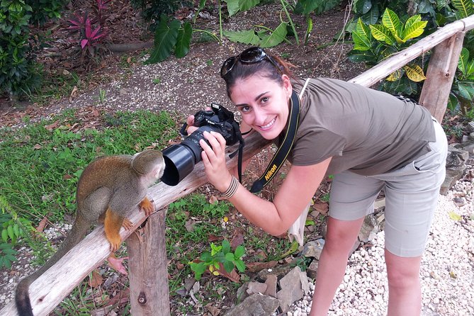Monkeyland and Plantation Safari from La Romana - Meeting the monkeys at Monkeyland