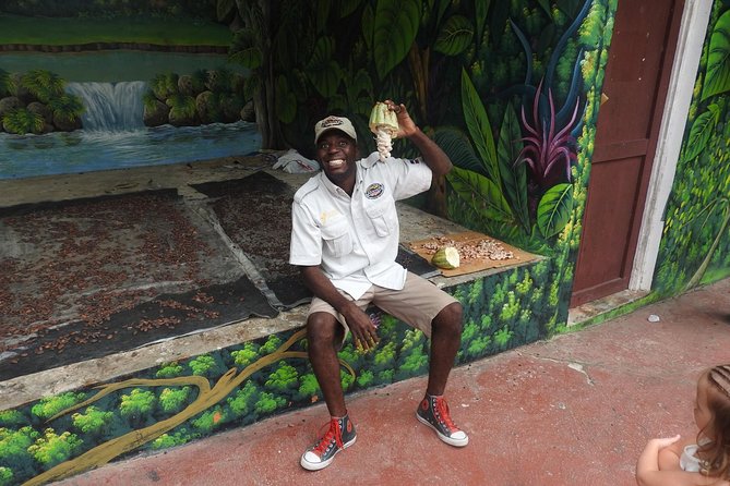 Monkeyland and Plantation Safari from La Romana - Practical preparation for heat, food, and animal care